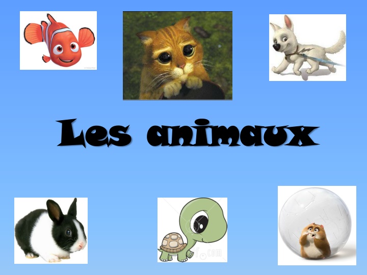 les les animaux animaux n.w