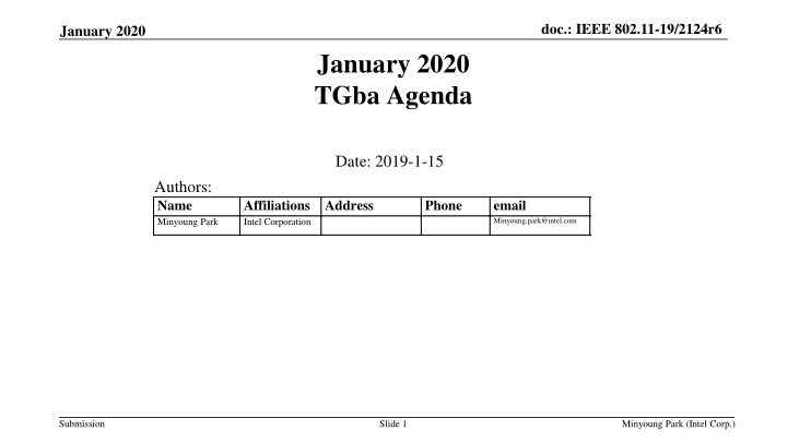 doc ieee 802 11 19 2124r6 n.w