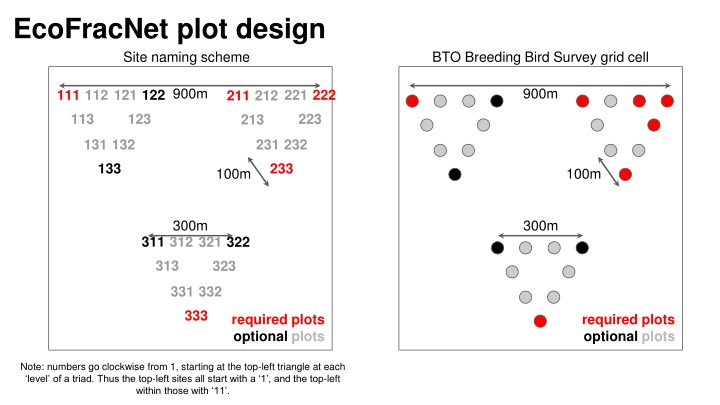 ecofracnet plot design n.w