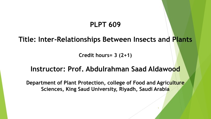 plpt 609 n.w