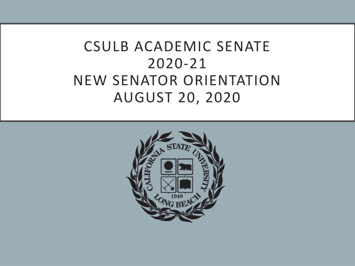 csulb academic senate 2020 21 new senator n.w