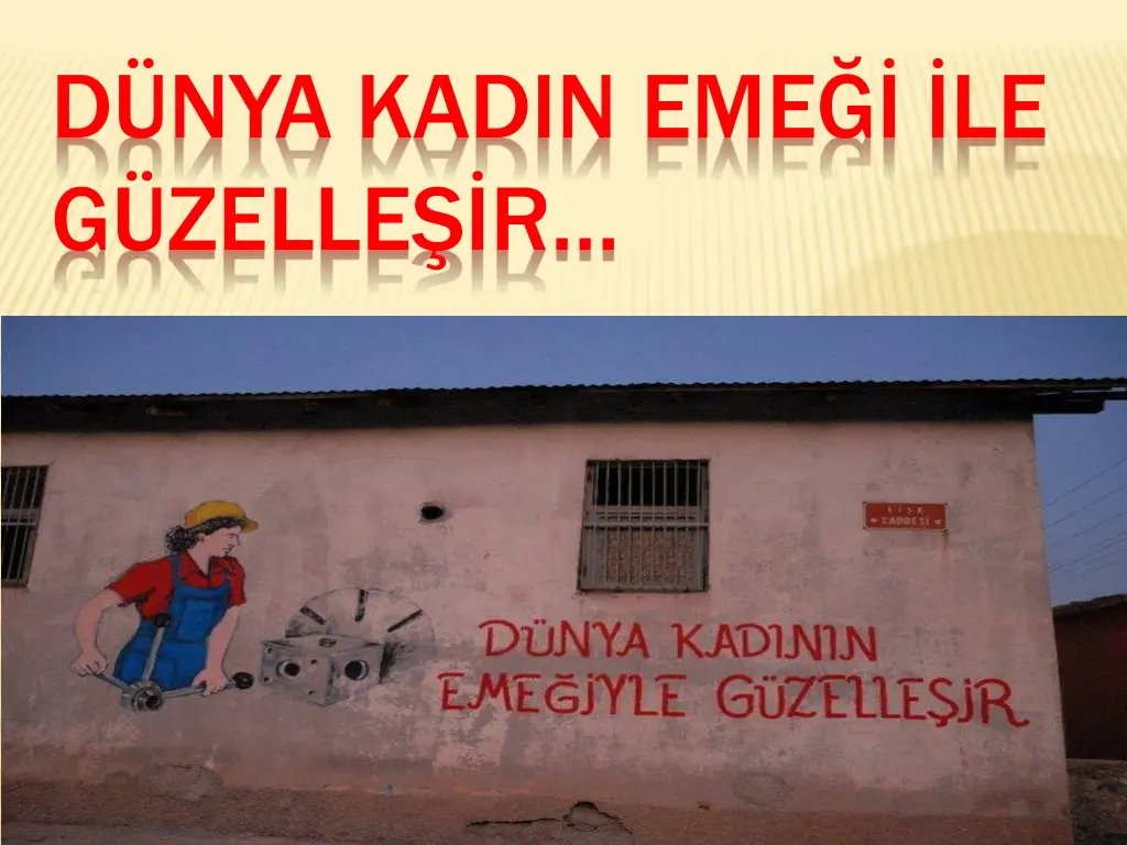 d nya kadin eme le g zelle r n.w