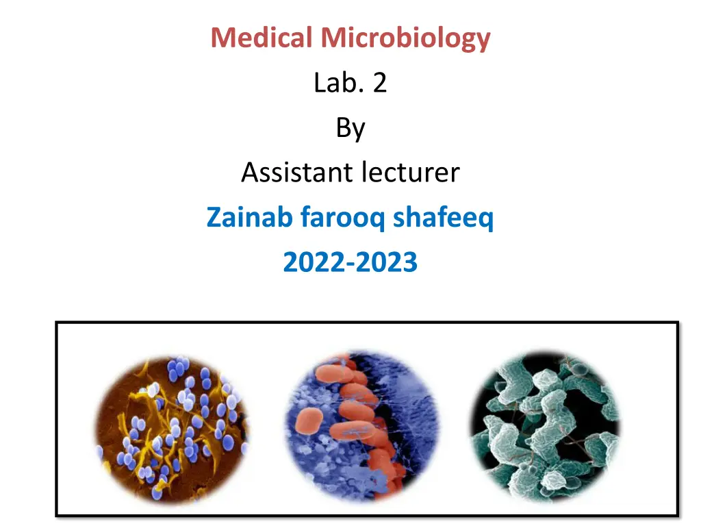 medical microbiology lab 2 by assistant lecturer n.w