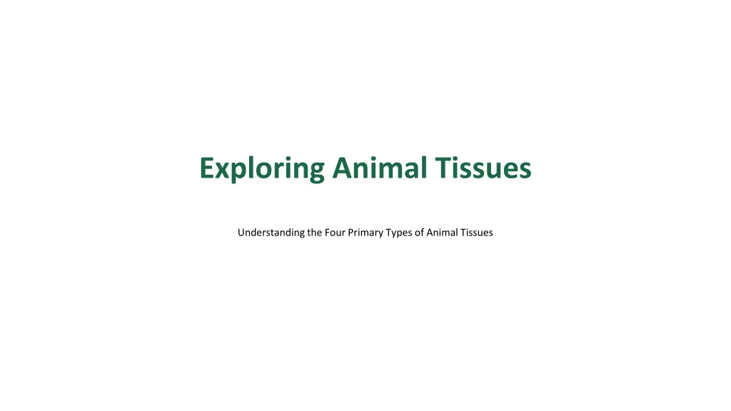 exploring animal tissues n.w