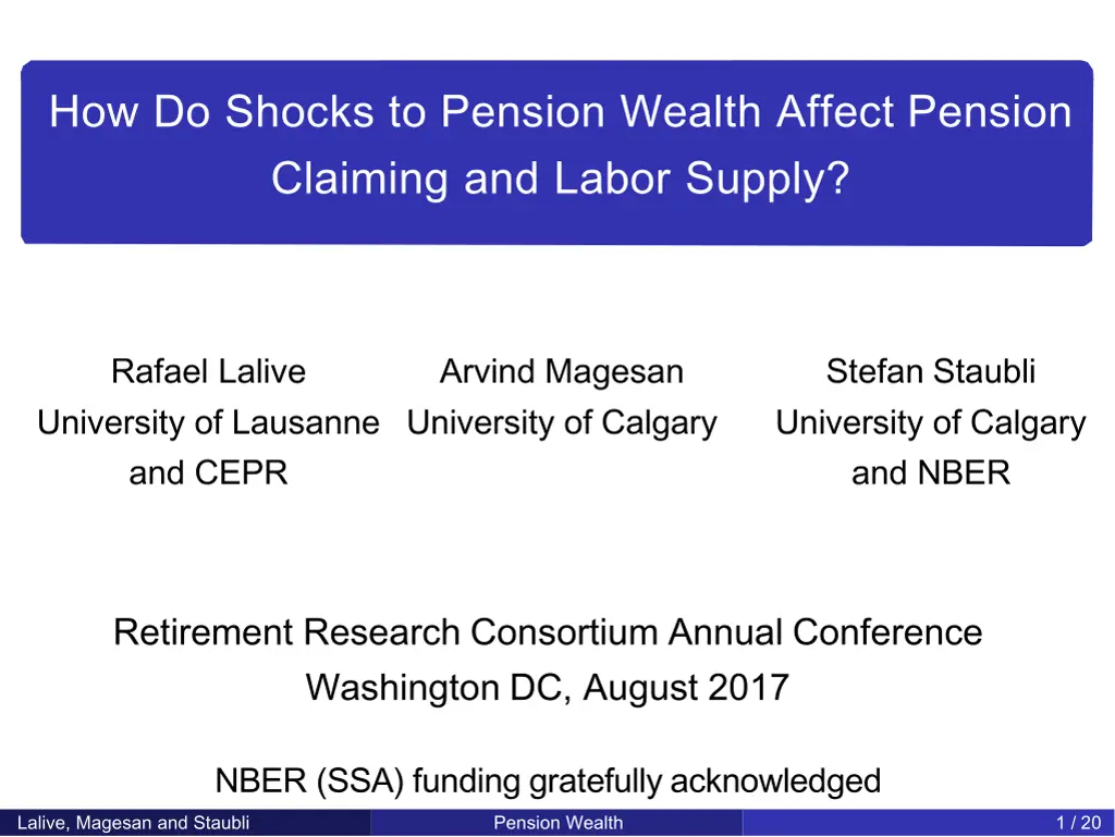 how do shocks to pension wealth affect pension n.w