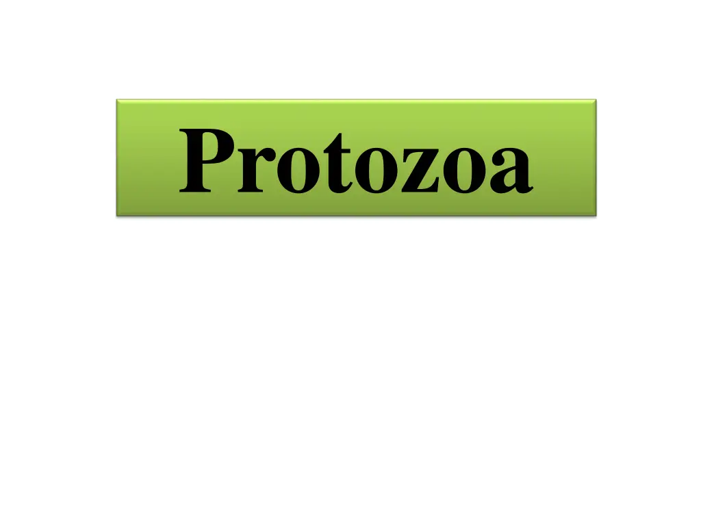 protozoa n.w