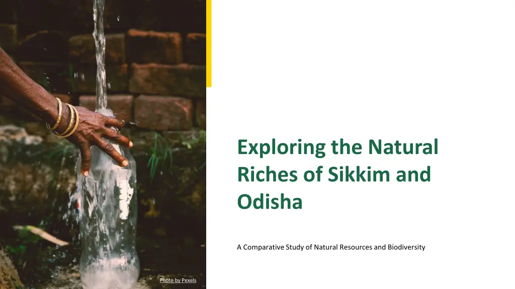 exploring the natural riches of sikkim and odisha n.w