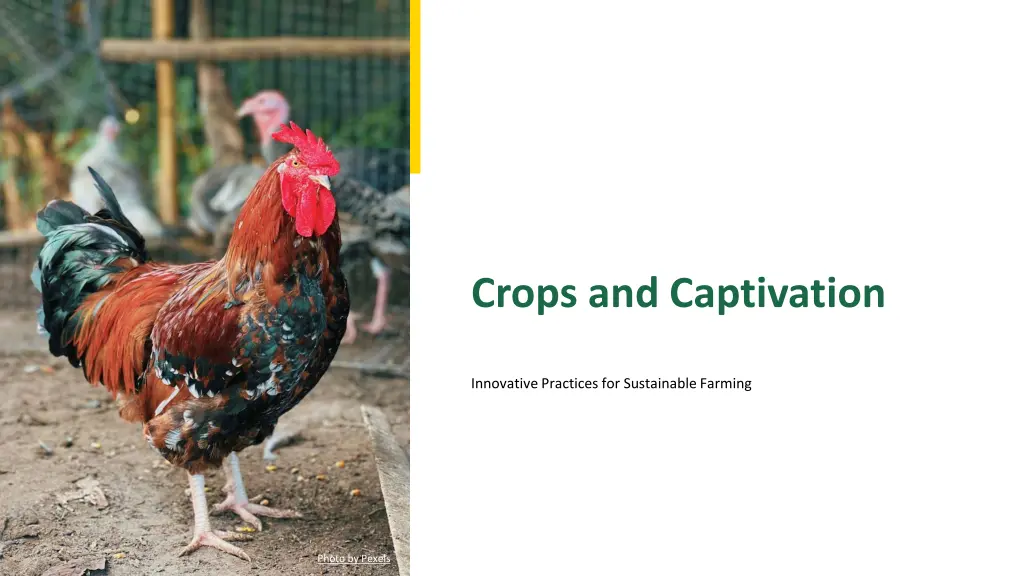 crops and captivation n.w