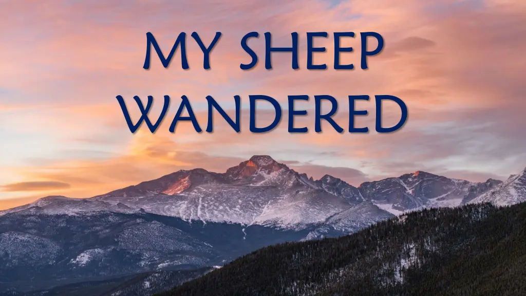my sheep wandered n.w