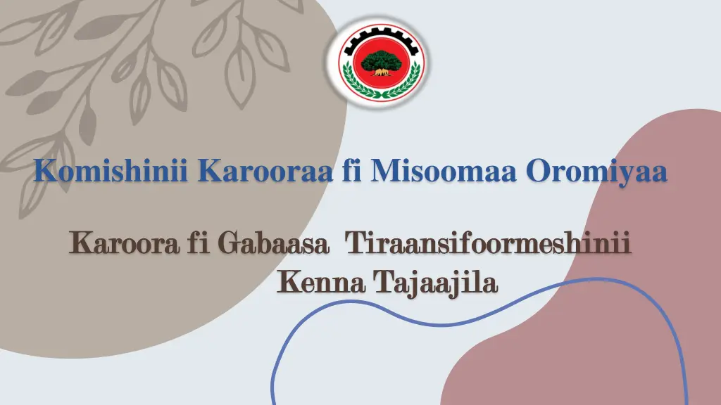 komishinii karooraa fi misoomaa oromiyaa n.w