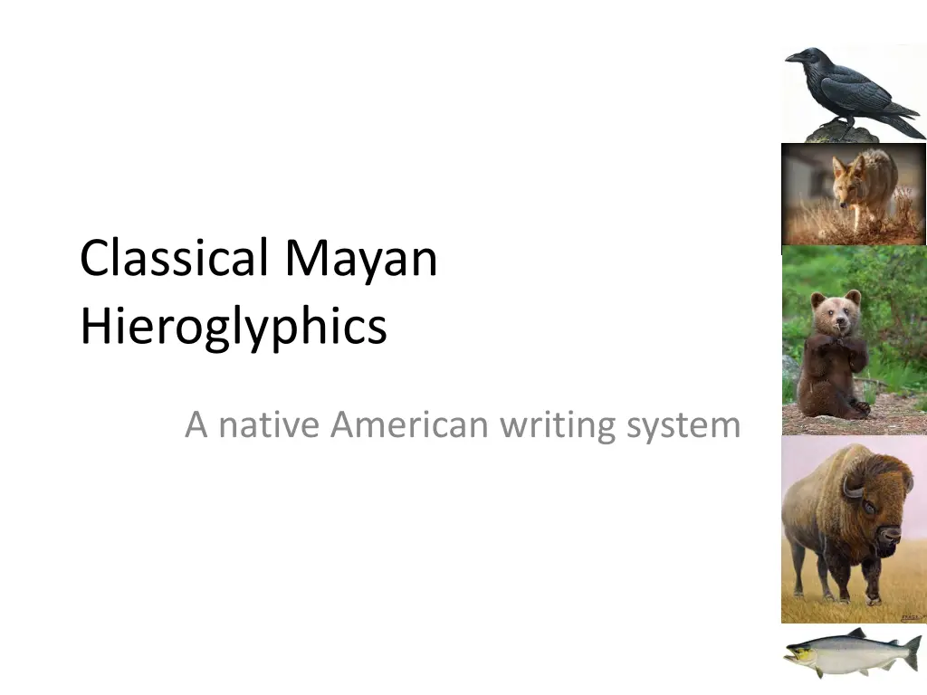 classical mayan hieroglyphics n.w