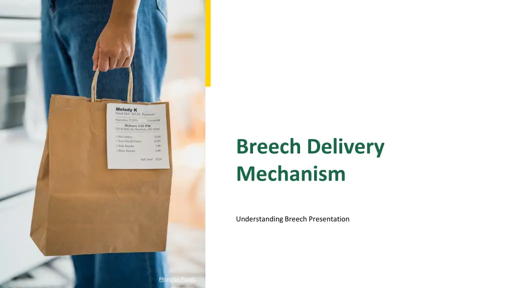 breech delivery mechanism n.w