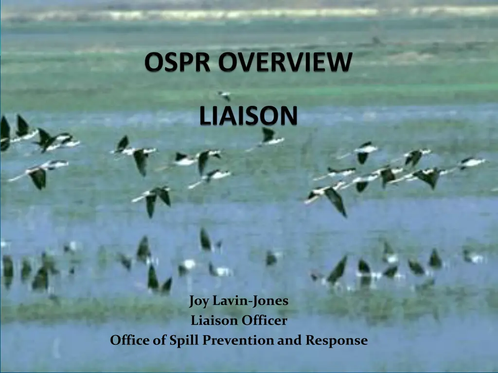 joy lavin jones liaison officer n.w