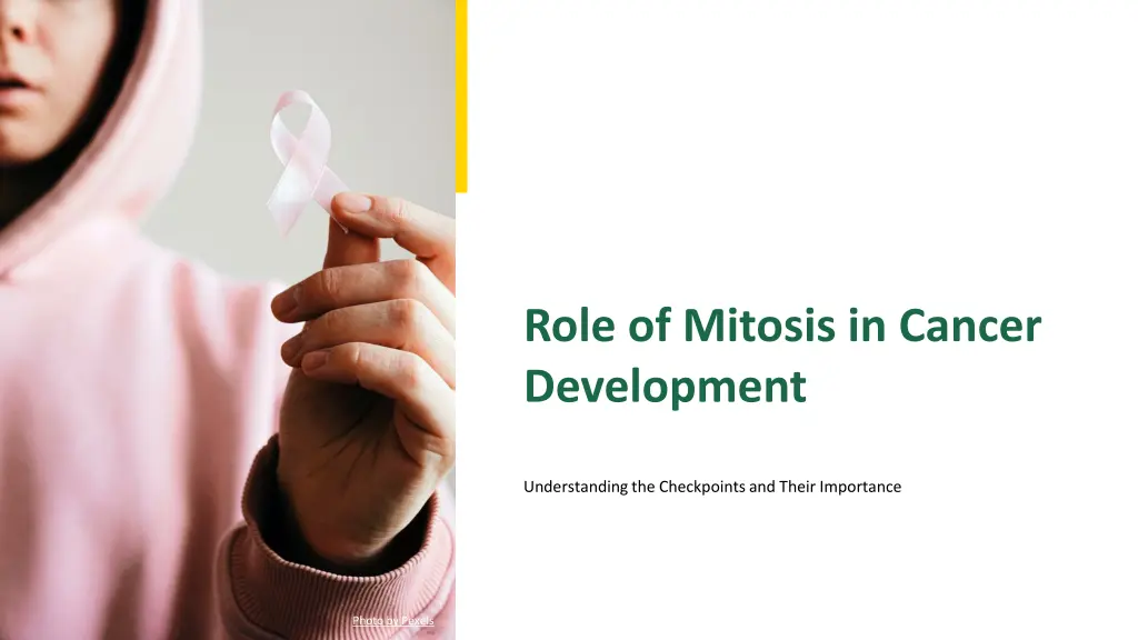 role of mitosis in cancer development n.w