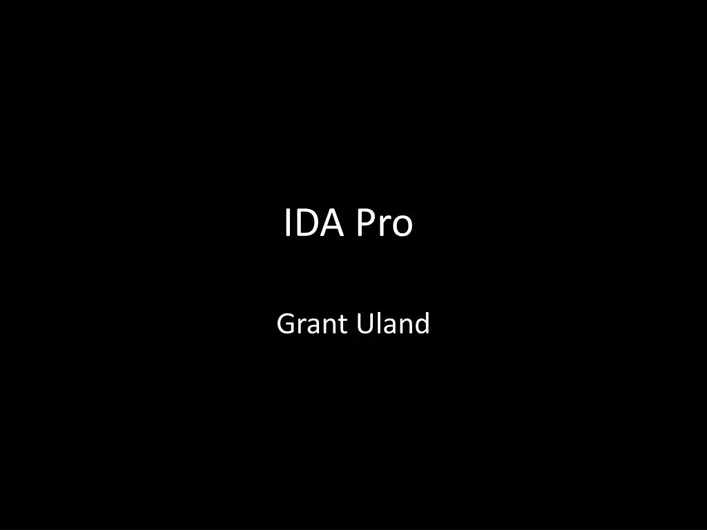 ida pro n.w