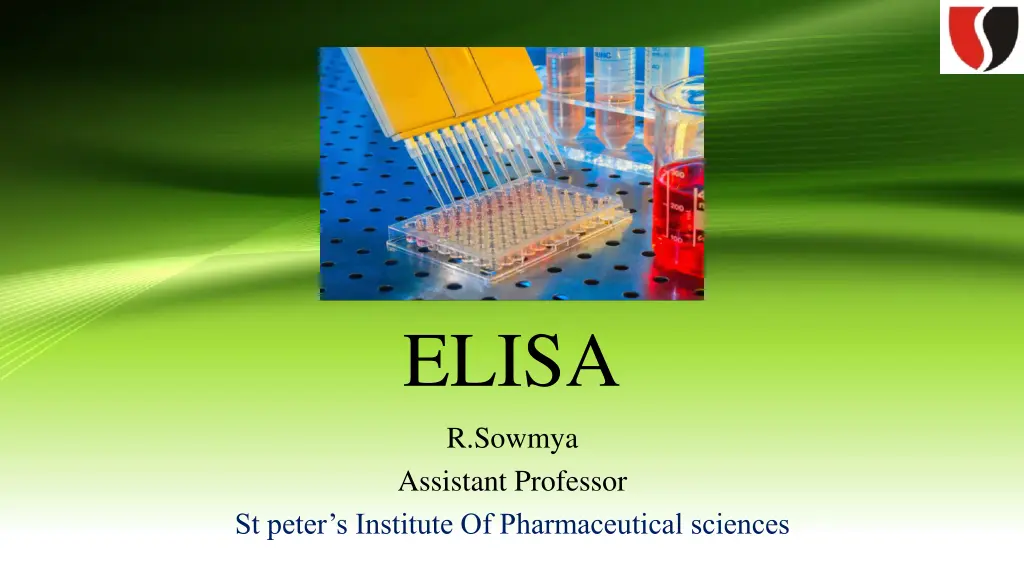 elisa n.w