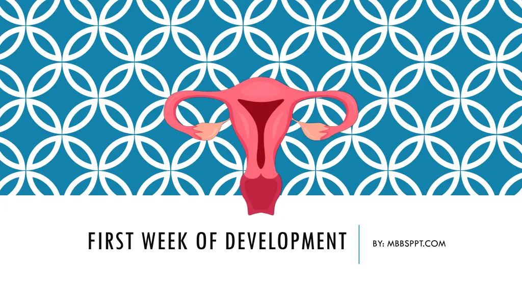 first week of development n.w