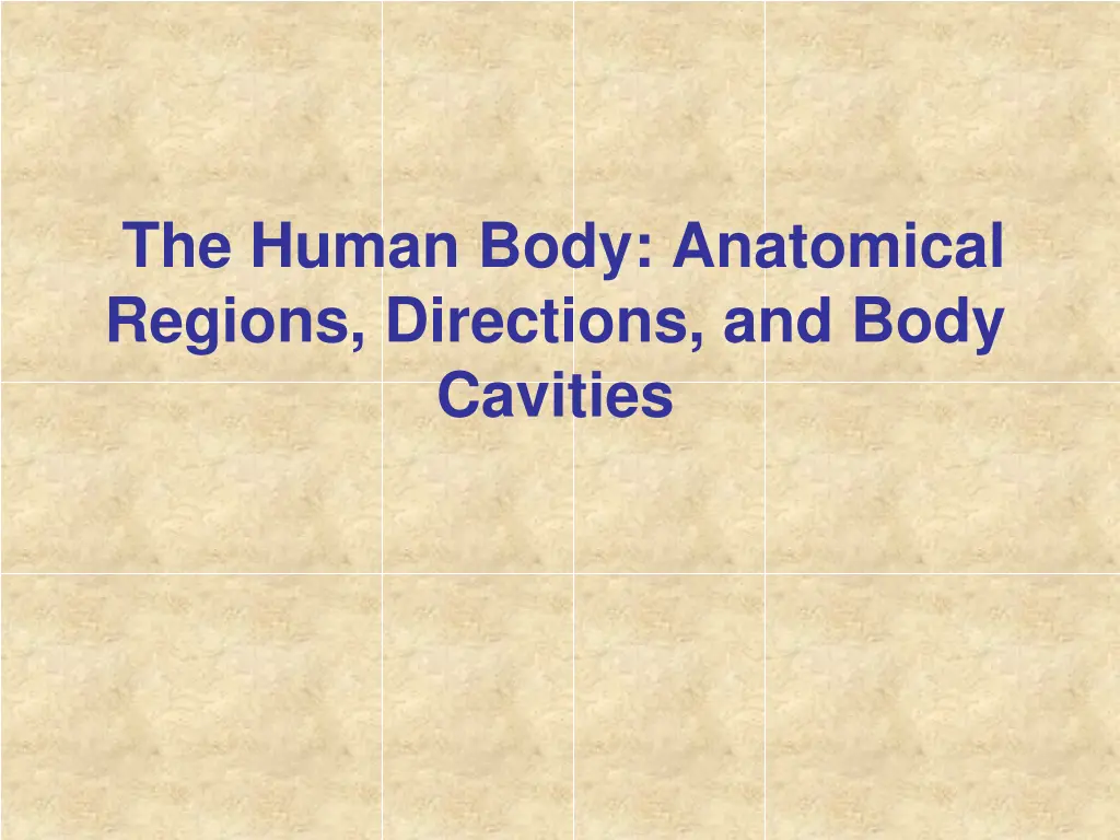 the human body anatomical regions directions n.w