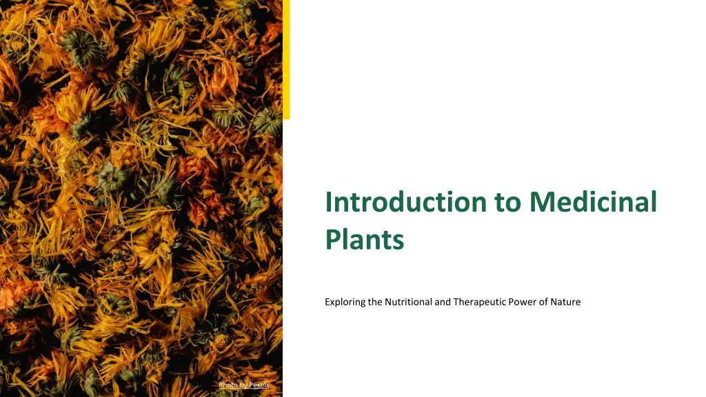 introduction to medicinal plants n.w