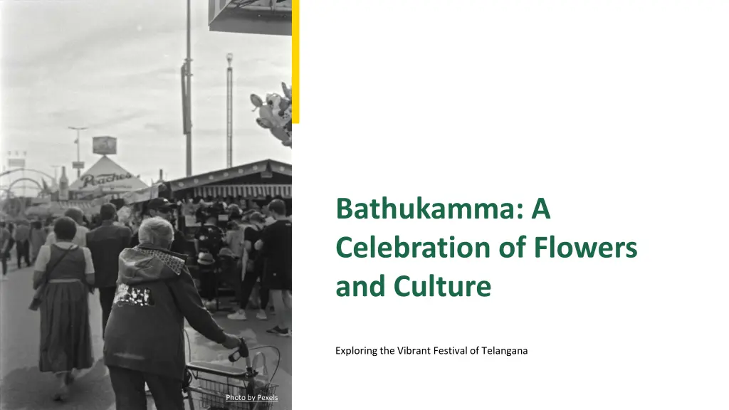 bathukamma a celebration of flowers and culture n.w