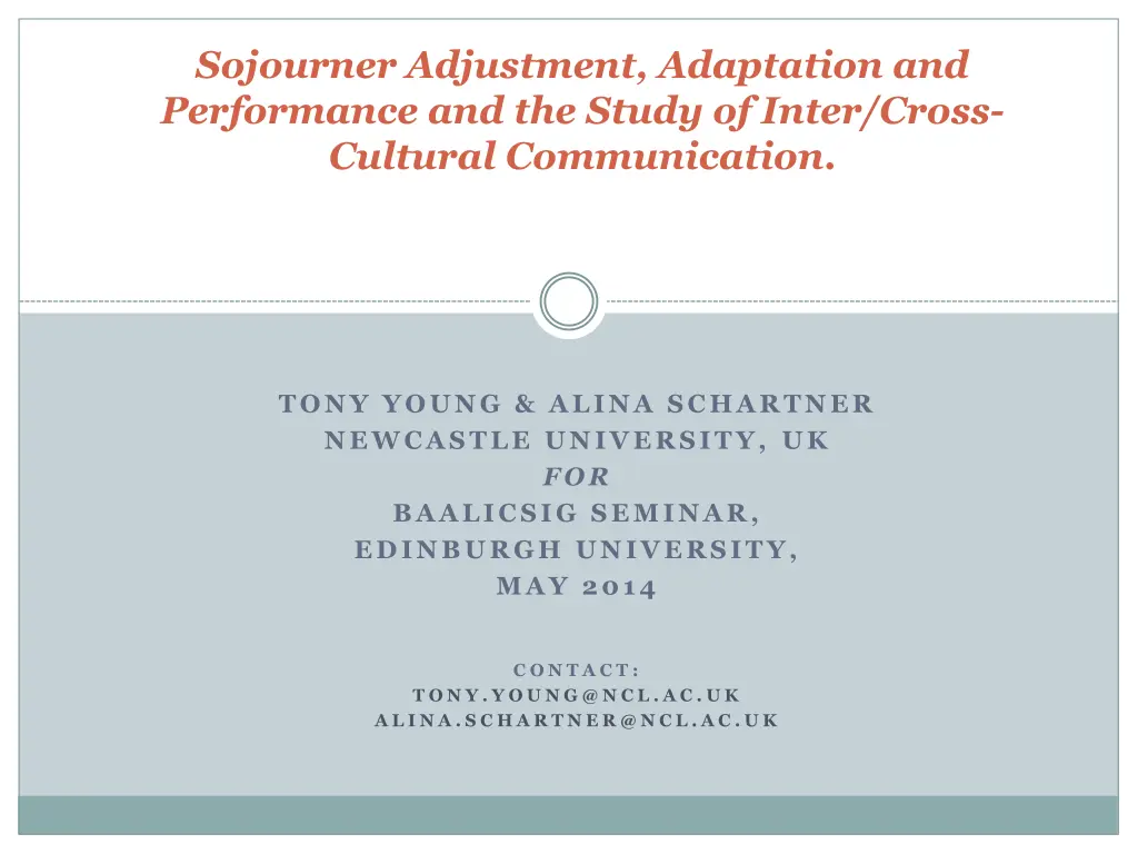 sojourner adjustment adaptation and performance n.w