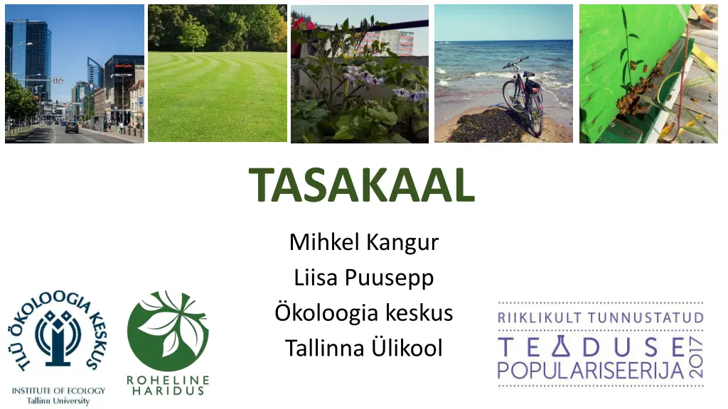 tasakaal n.w