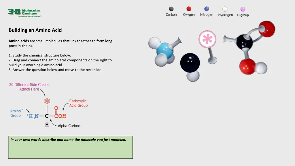 building an amino acid n.w