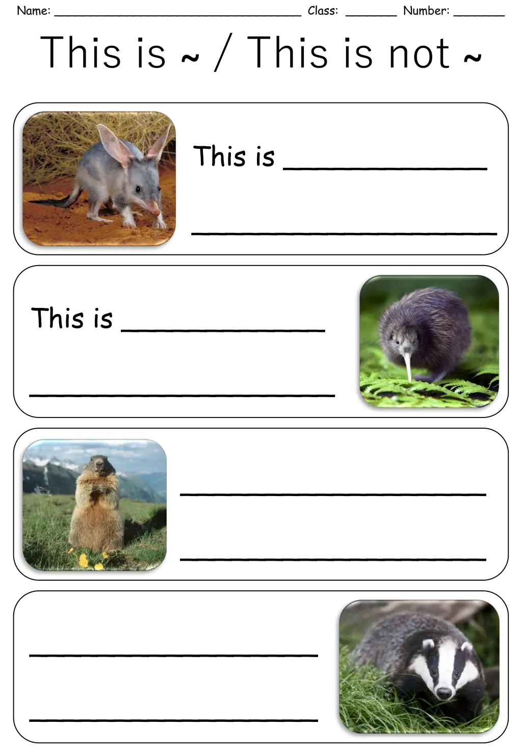 name class number this is this is not n.w