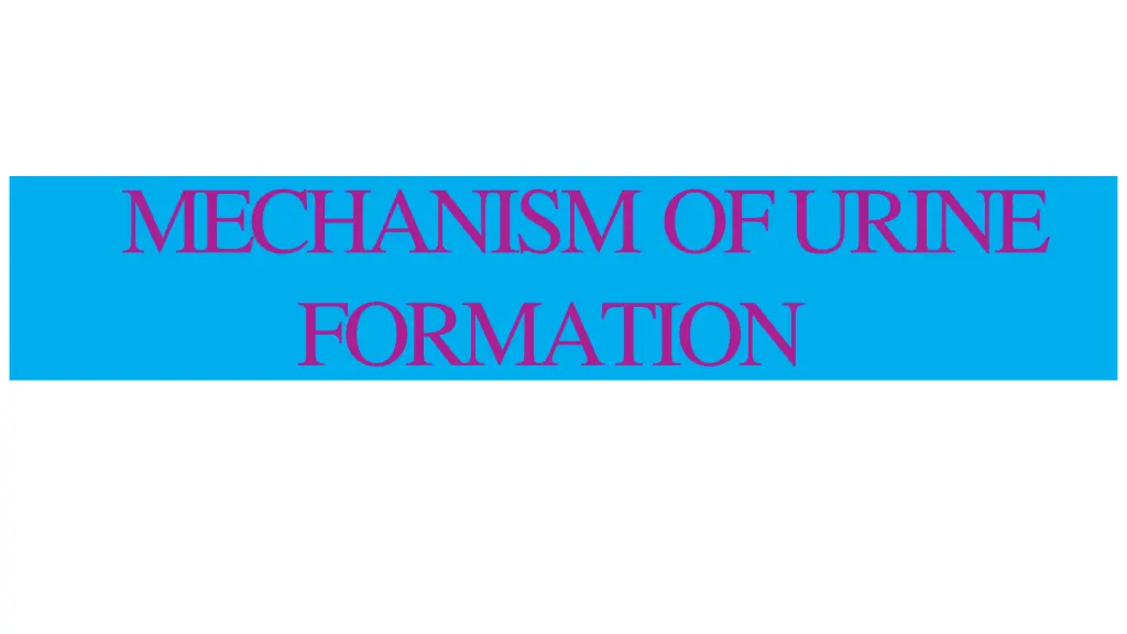 mechanism of urine formation n.w