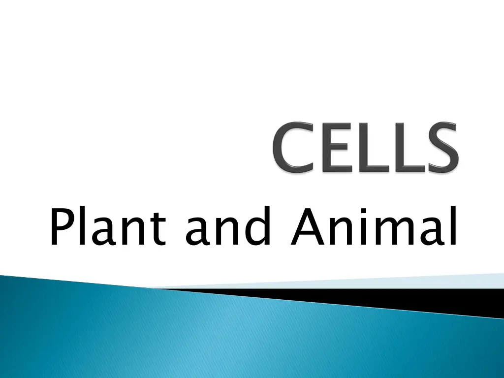 plant and animal n.w