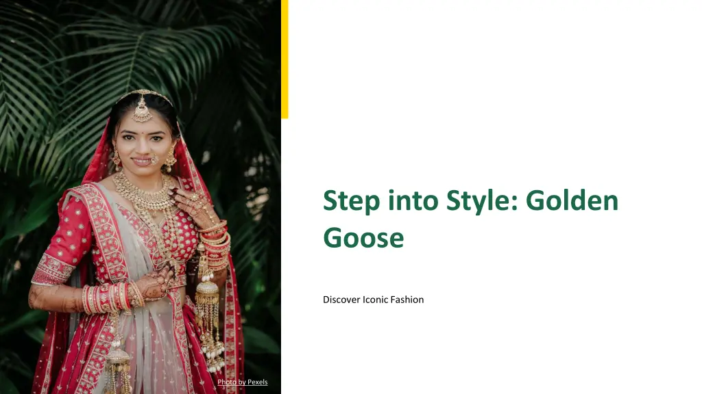 step into style golden goose n.w