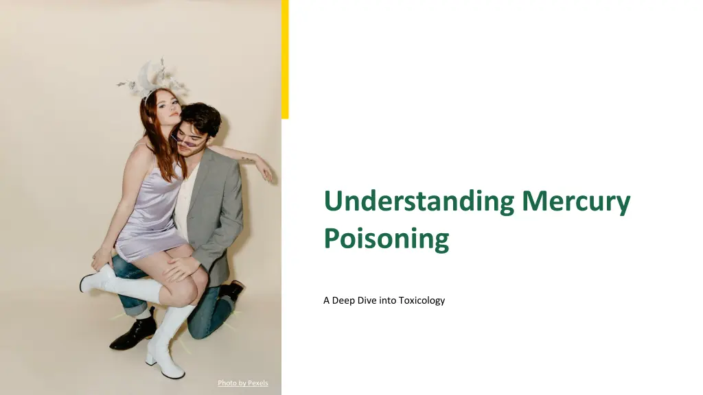 understanding mercury poisoning n.w