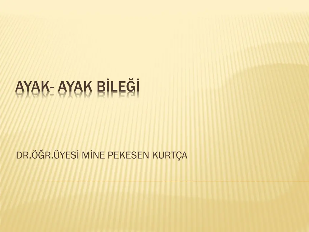 ayak ayak b le n.w