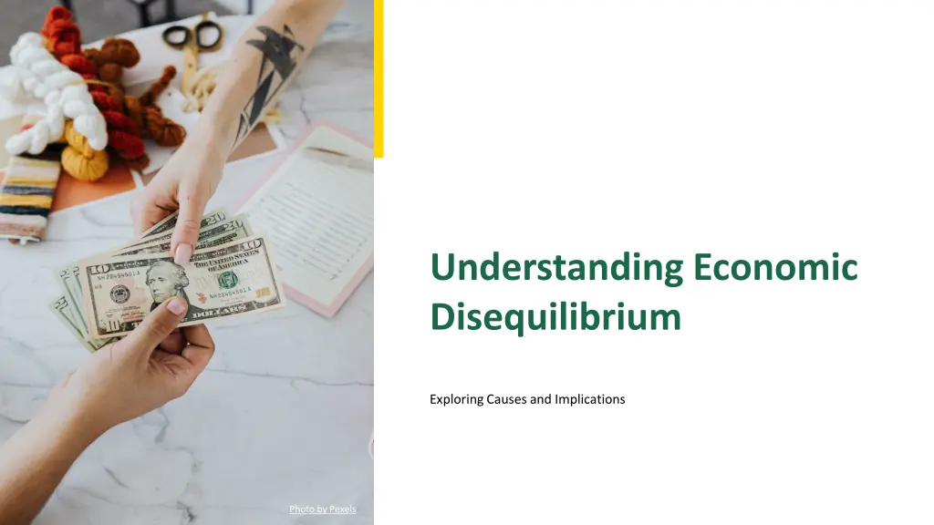 understanding economic disequilibrium n.w