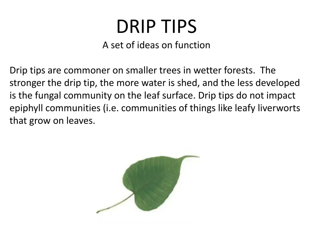 drip tips a set of ideas on function n.w