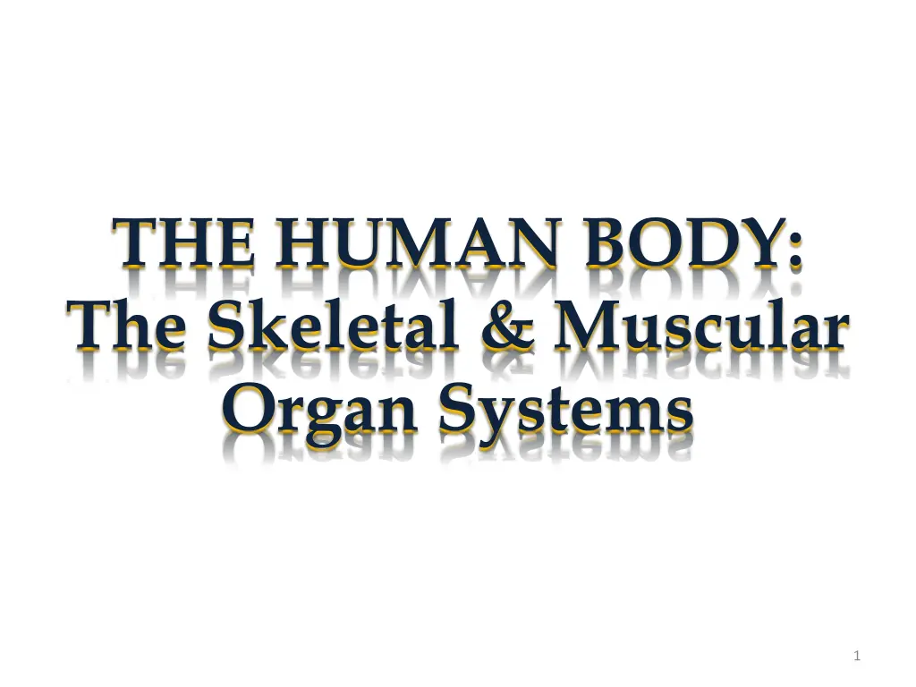 the human body the skeletal muscular organ systems n.w