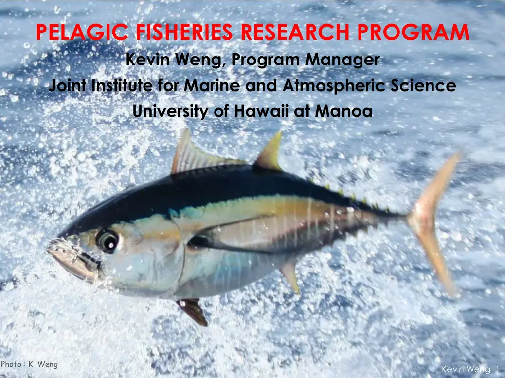 pelagic fisheries research program kevin weng n.w
