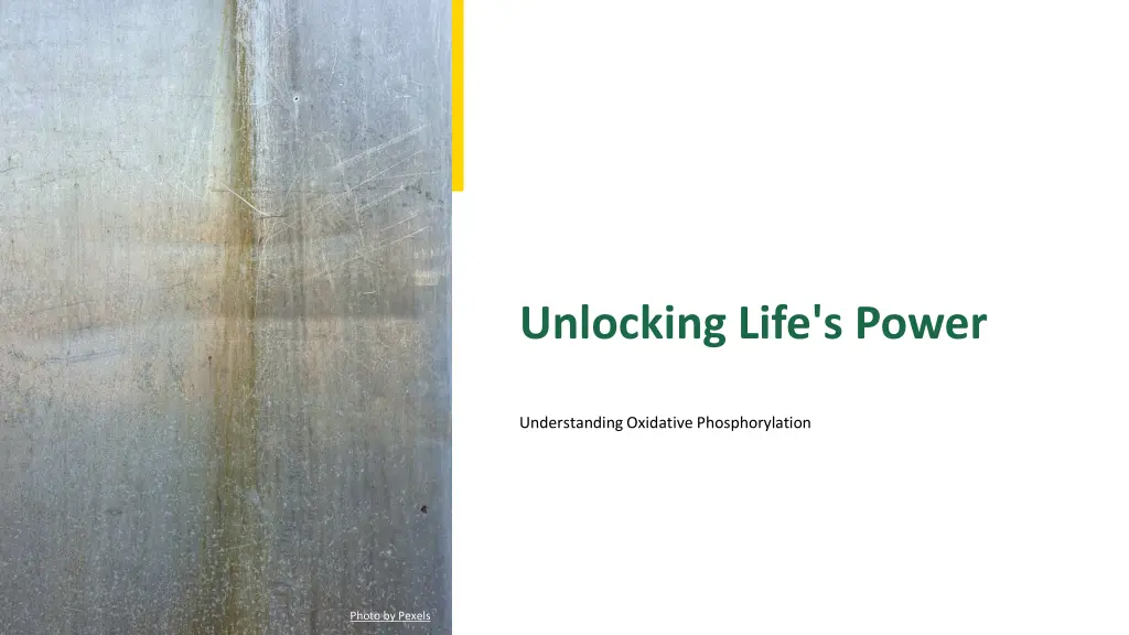 unlocking life s power n.w