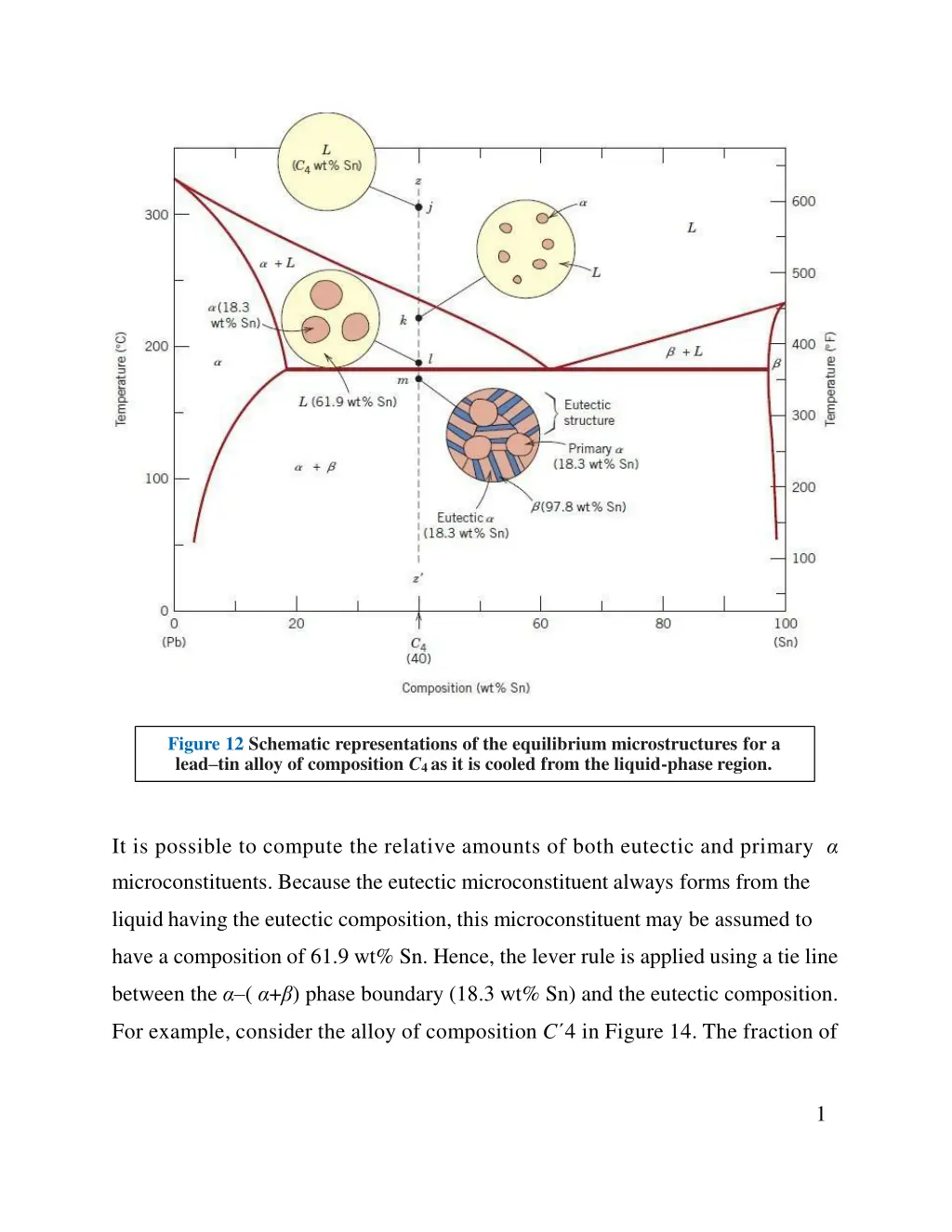 figure 12 schematic representations n.w