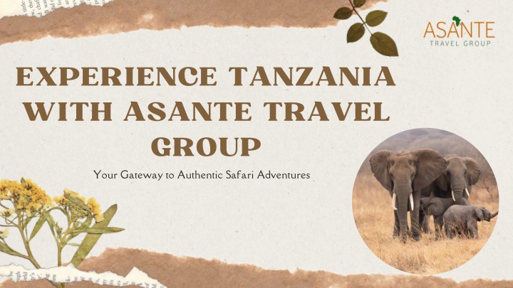 experience tanzania with asante travel group your n.w