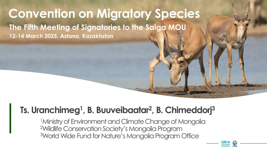 convention on migratory species the fifth meeting n.w
