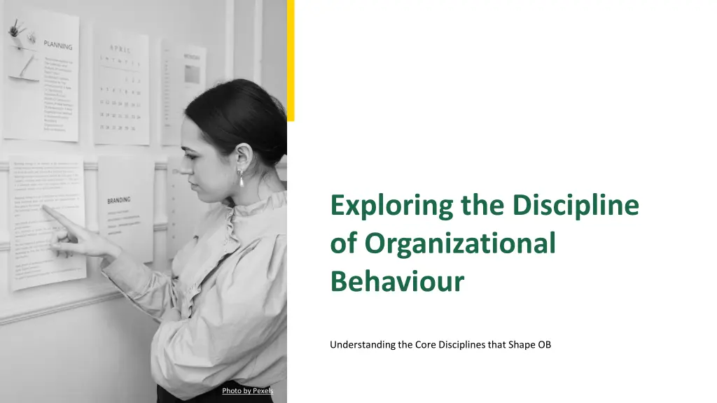 exploring the discipline of organizational n.w