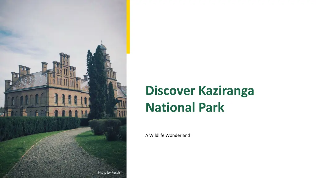 discover kaziranga national park n.w