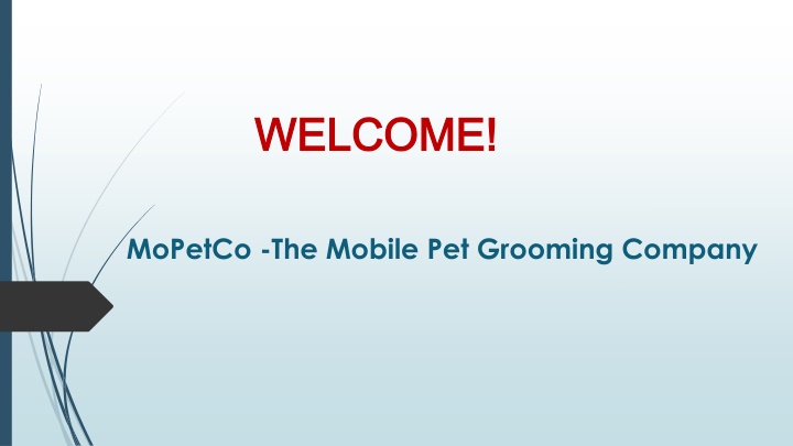 If you are looking for dog grooming in South Fort Lauderdale