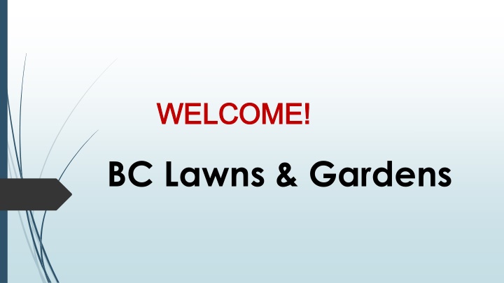 Best Lawn Mowing in Lisarow