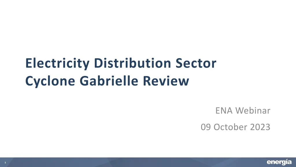 electricity distribution sector cyclone gabrielle n.w