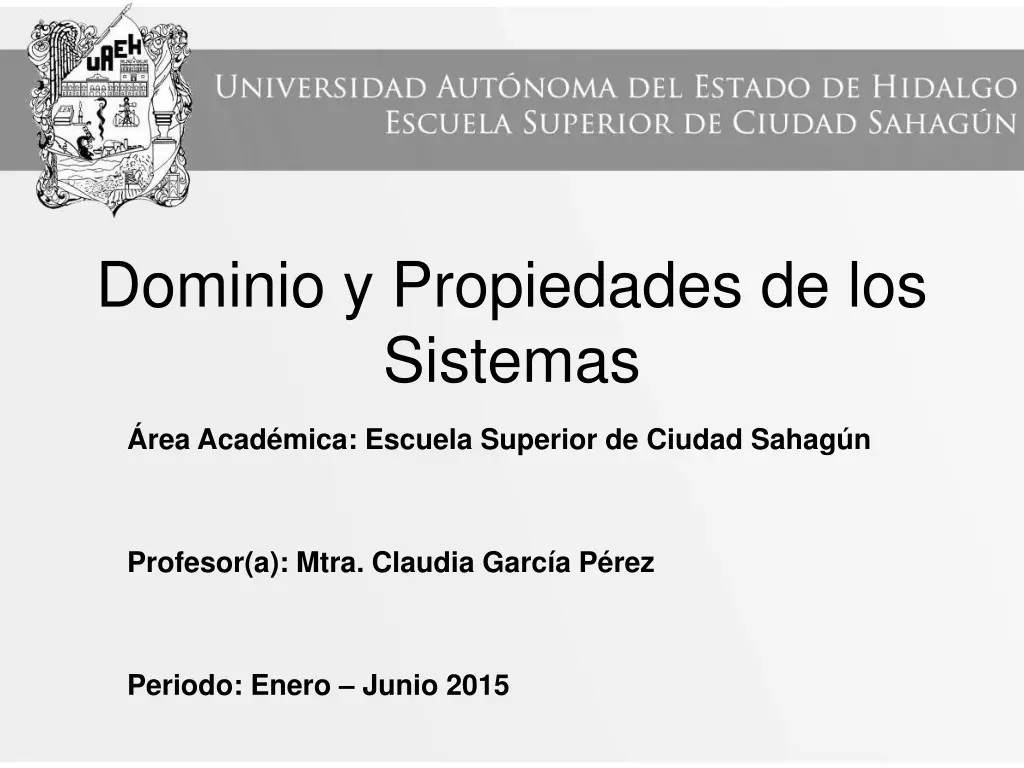 dominio y propiedades de los sistemas n.w