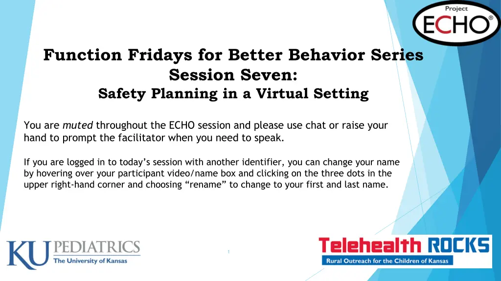 function fridays for better behavior series n.w
