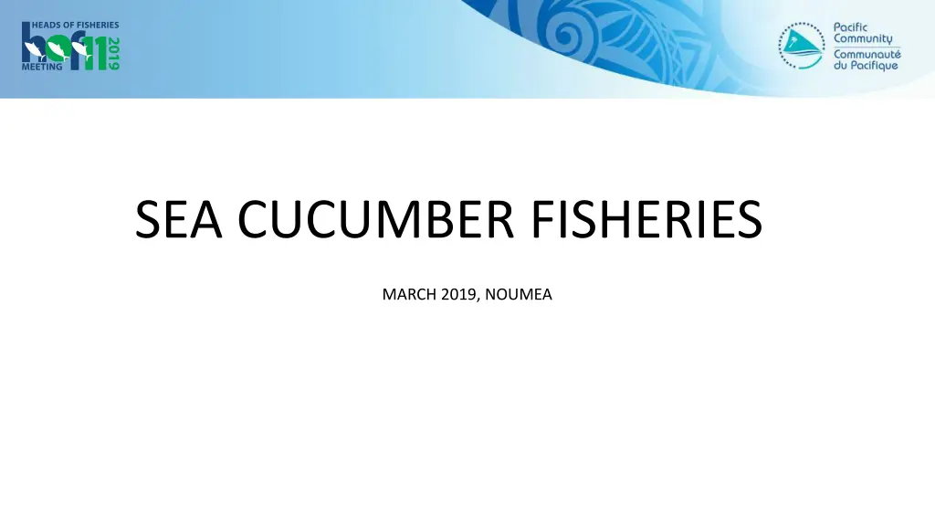 sea cucumber fisheries n.w