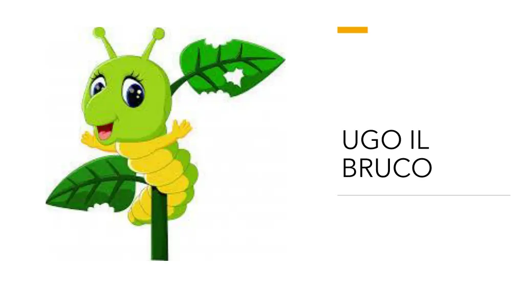 ugo il bruco n.w